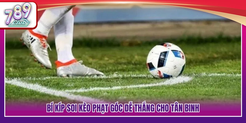 Kèo Phạt Góc Là Gì? Giải Thích Chi Tiết Dễ Hiểu Cho Người Mới 4 Kinh nghiệm bắt kèo góc phù hợp cho người mới