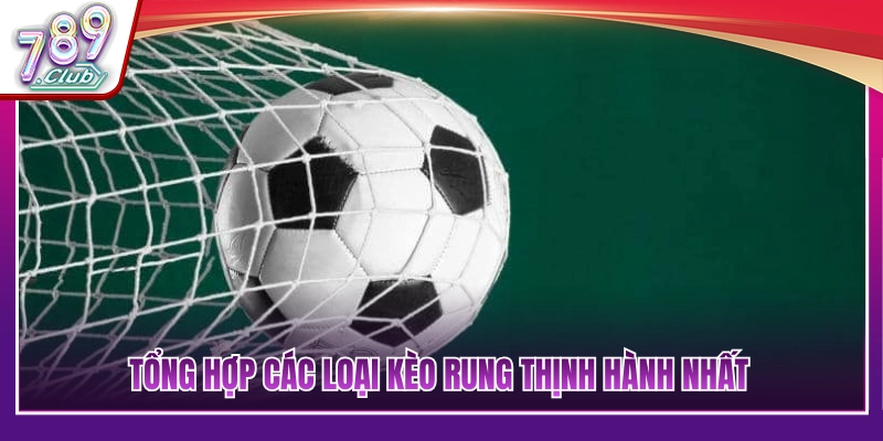 Tìm hiểu dạng cược trước khi áp dụng kinh nghiệm soi kèo rung